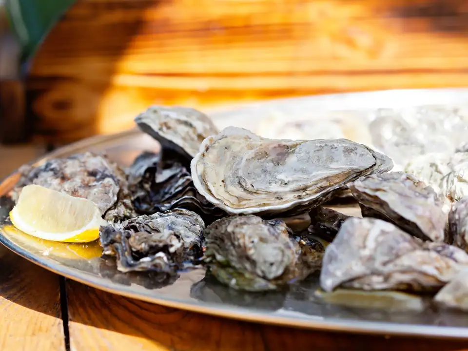 Ostra D Ouro Vilamoura